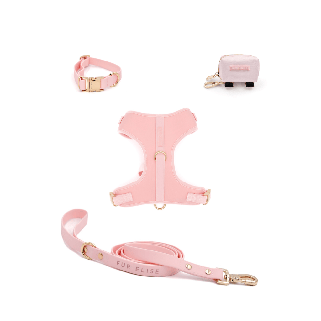 Pink dog walking set with harness, collar, and matching leash