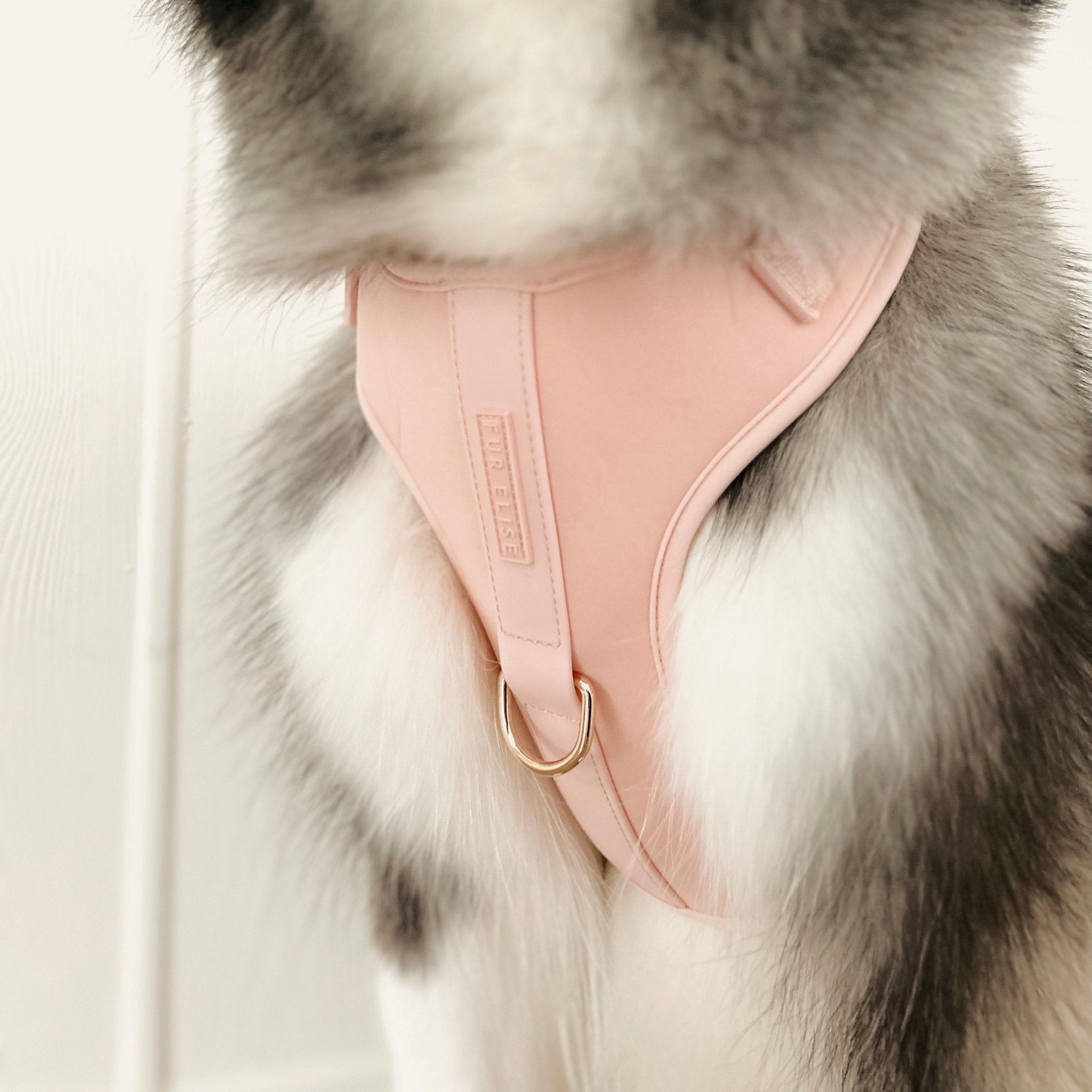 Pink dog harness with front ring and stitched chest panels