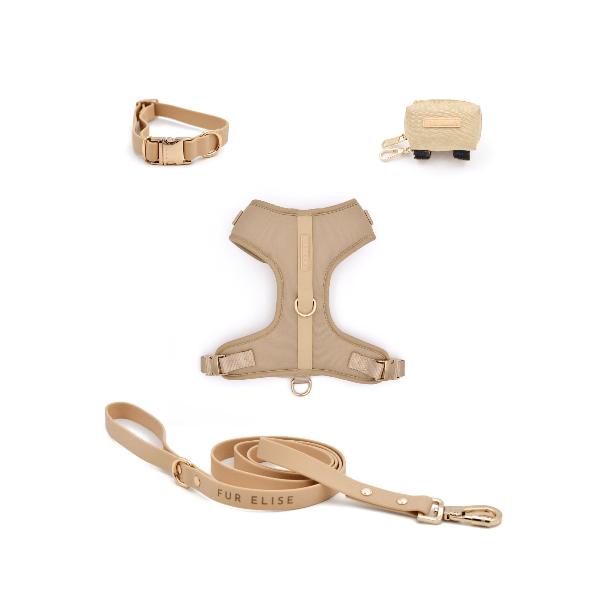 Sand dog harness, collar, and leash set with beige straps and gold-toned hardware