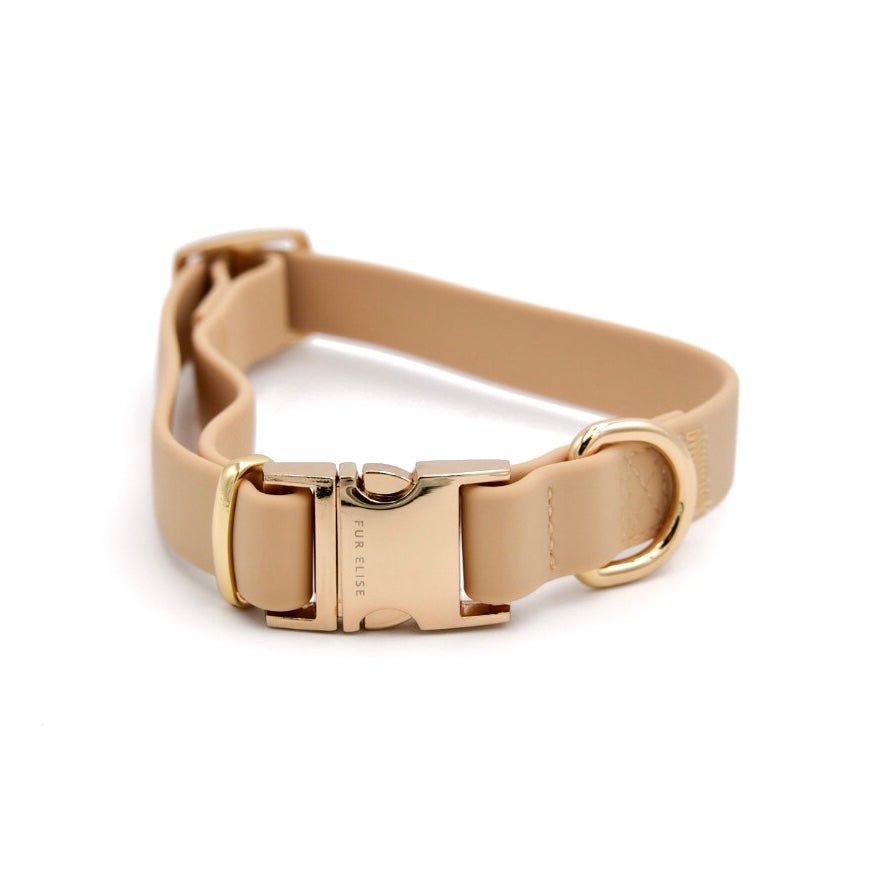 Sand dog collar close-up with gold buckle and adjustable beige strap