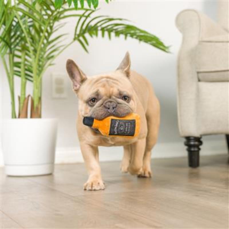 Plush dog toy held by a tan French bulldog: orange bottle style with black patch