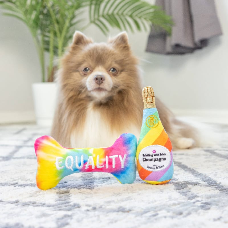 Plush dog bone and bottle toy pair with colorful fabric, shown with a dog nearby
