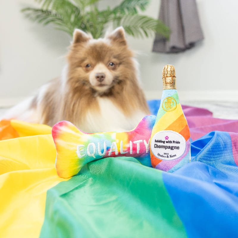 Rainbow plush bone toy and bottle toy set, with a fluffy dog among colorful fabric