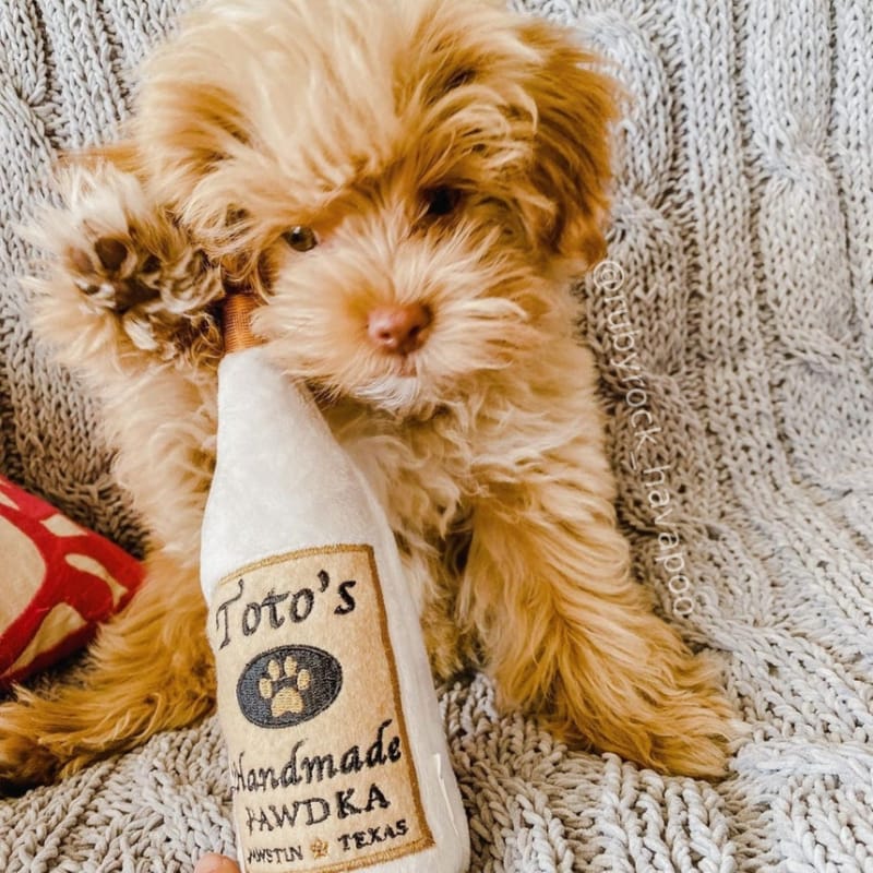 Beige Pawdka squeak plush bottle dog toy with Toto's paw print label and brown cap