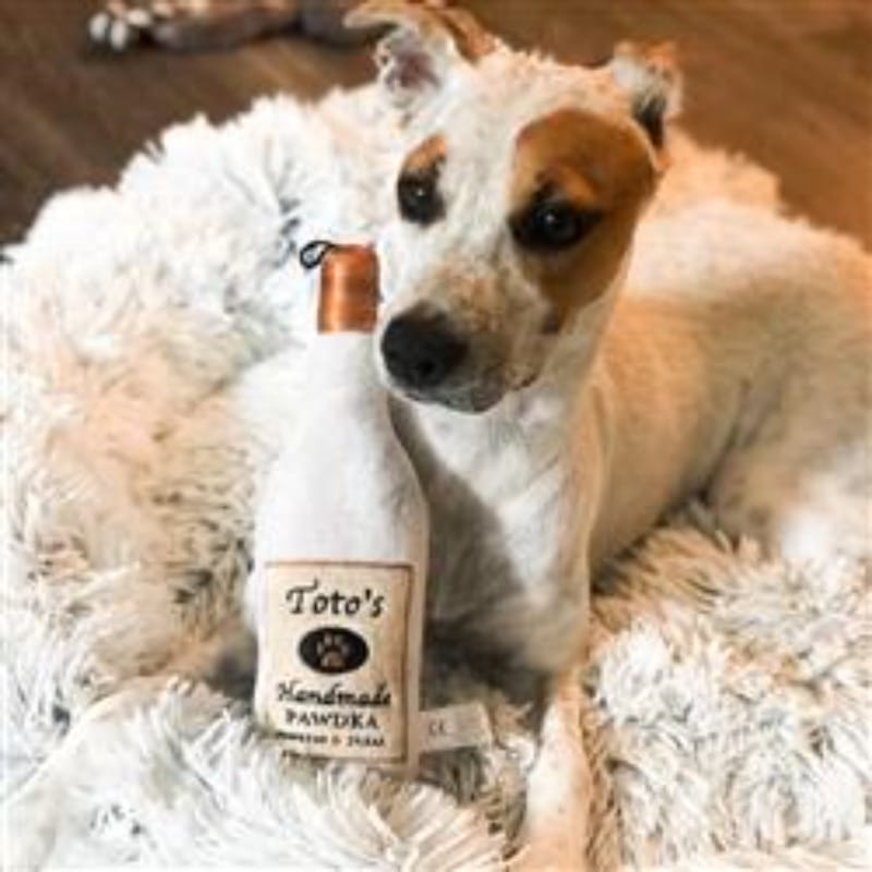 Cream Toto's Pawdka squeak plush bottle dog toy with brown cap on shag fur