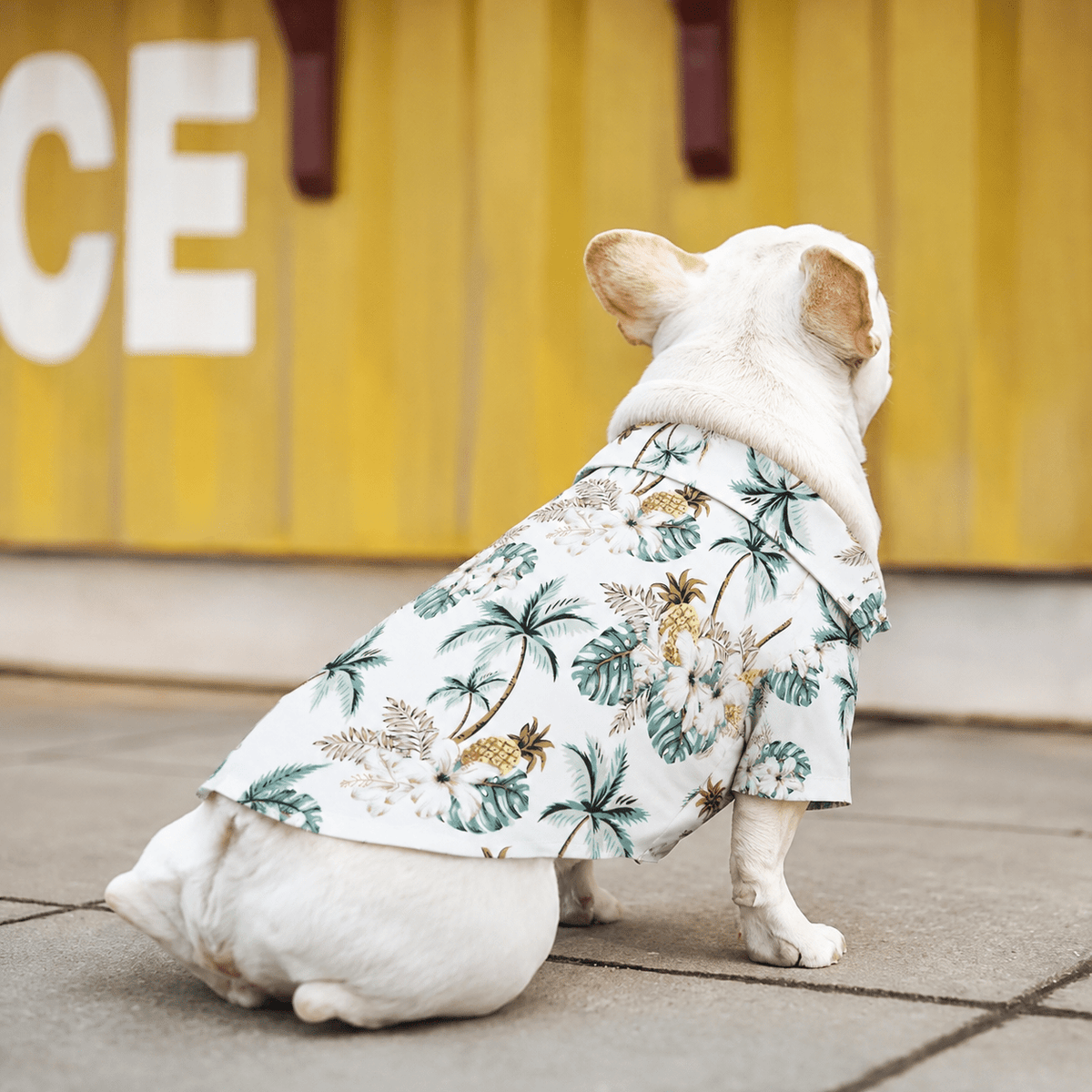 Tropical Floral Beach Hawaii Dog Shirt Fursace Luxury Dog Plush Toy - Blue Pink Floral Red Squeaky | Cookies Wagging Friends Boutique Cookies Wagging Friends Boutique