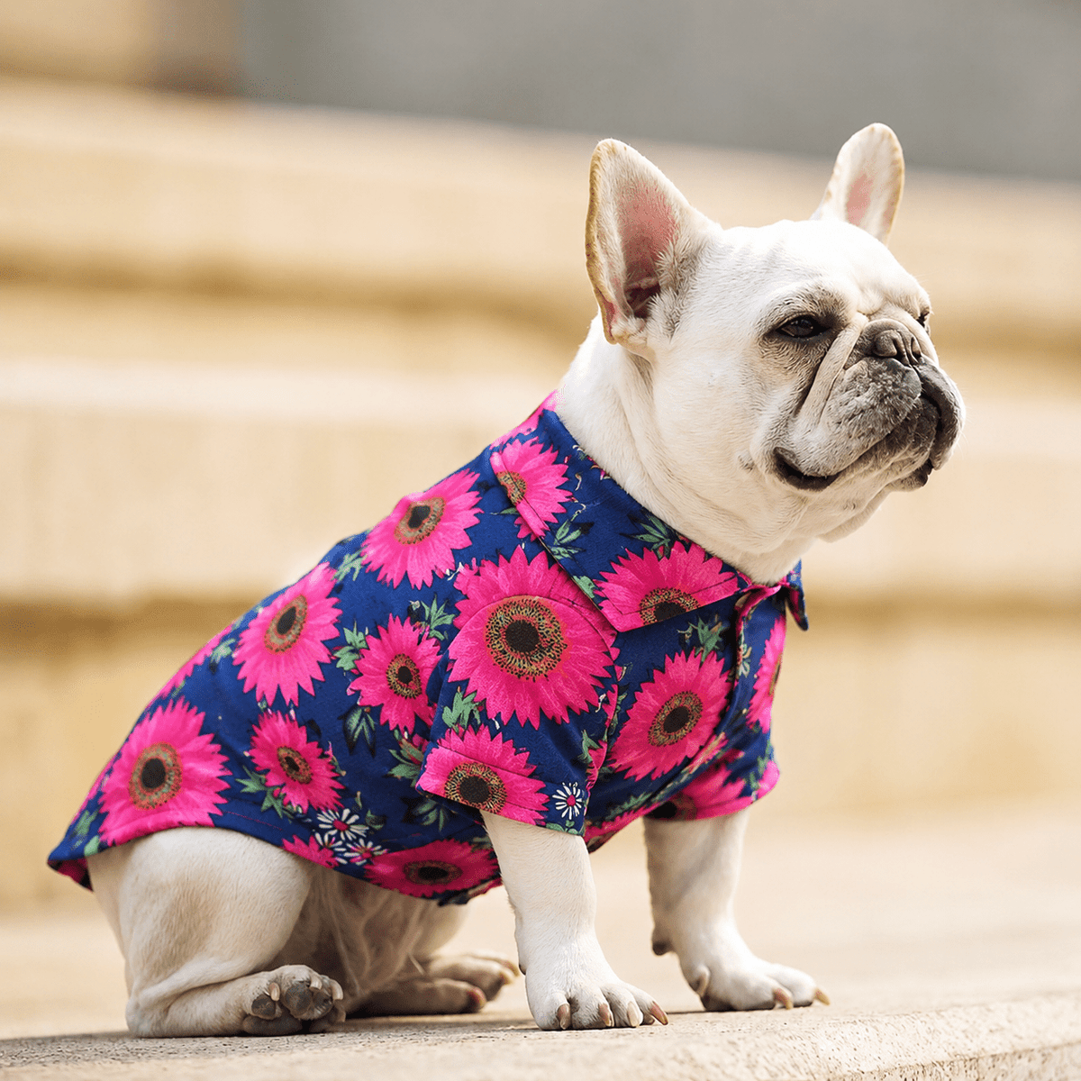 Tropical Floral Beach Hawaii Dog Shirt Fursace Luxury Dog Plush Toy - Pink Tropical Red Squeaky | Cookies Wagging Friends Boutique Cookies Wagging Friends Boutique