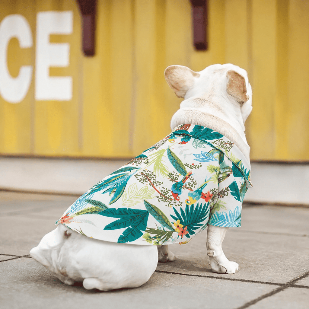 Tropical Hawaiian Dog Beach Shirt Fursace Luxury Dog Plush Toy - Green Red Squeaky | Cookies Wagging Friends Boutique Cookies Wagging Friends Boutique