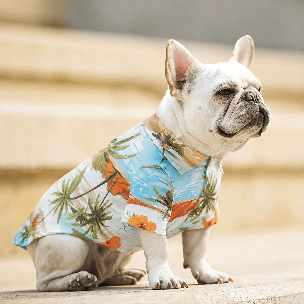 Tropical Hawaiian Dog Beach Shirt Fursace Luxury Dog Plush Toy - Green Red Squeaky | Cookies Wagging Friends Boutique Cookies Wagging Friends Boutique