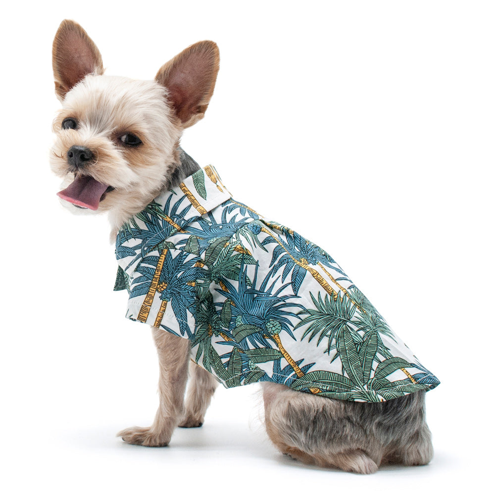 {{product_title}} - Cookies Wagging Friends Boutique