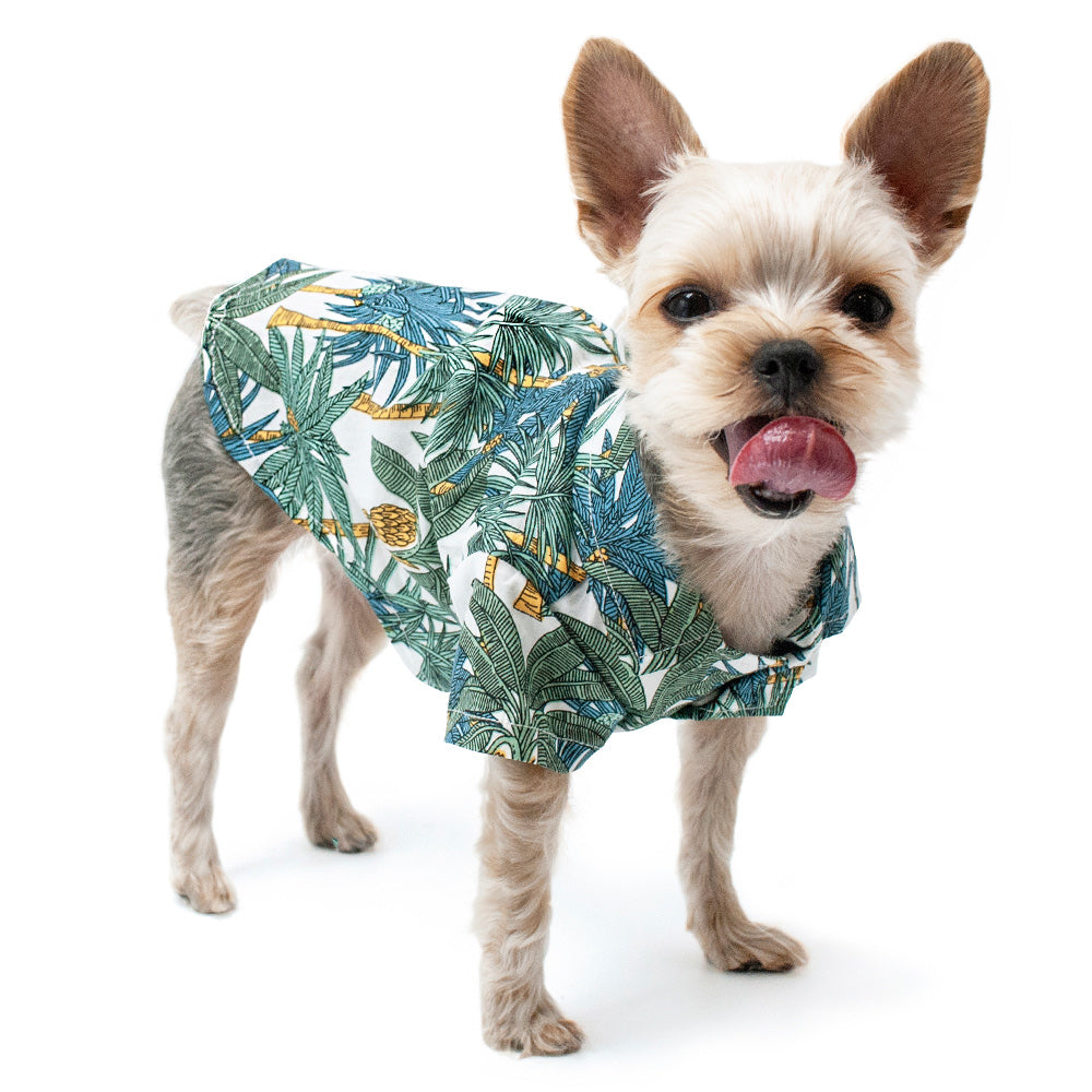 {{product_title}} - Cookies Wagging Friends Boutique
