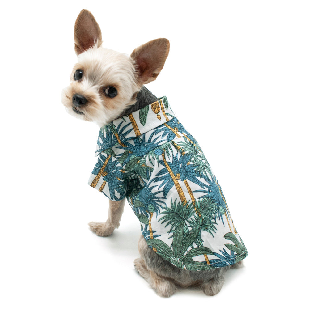 {{product_title}} - Cookies Wagging Friends Boutique