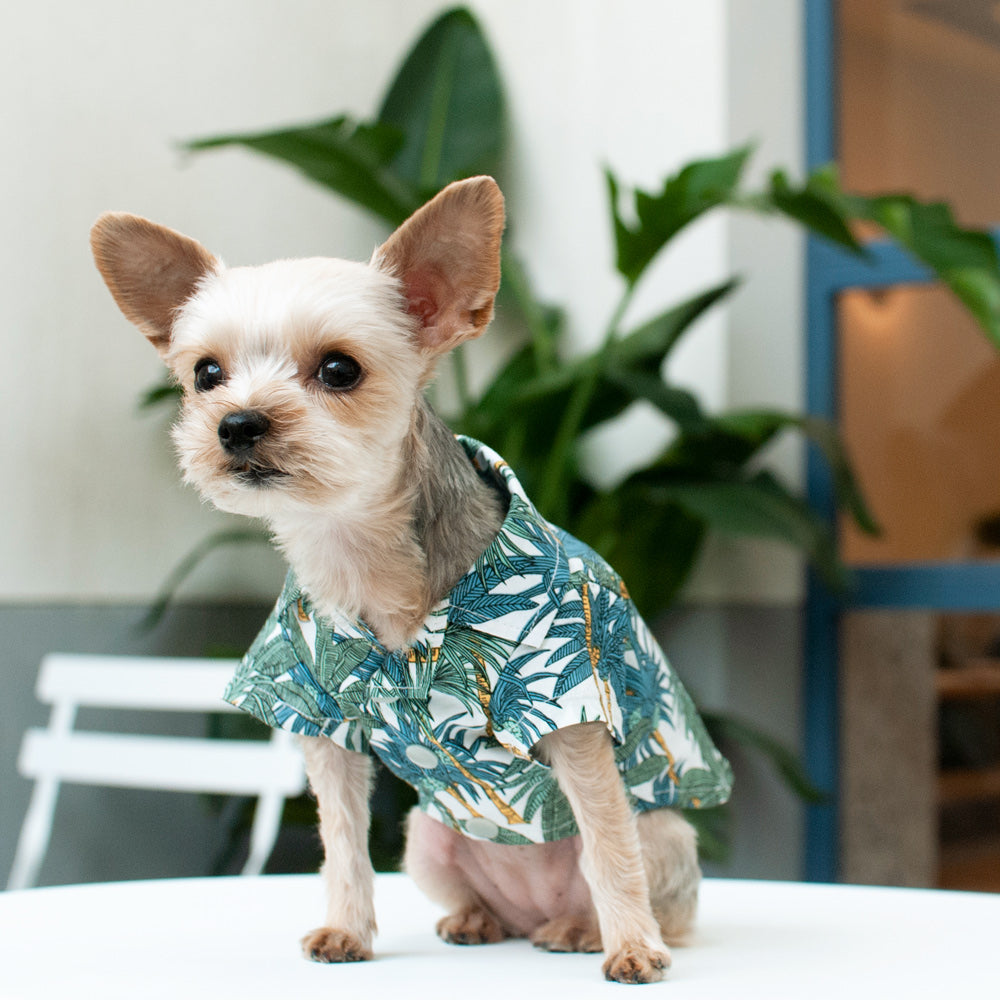 {{product_title}} - Cookies Wagging Friends Boutique