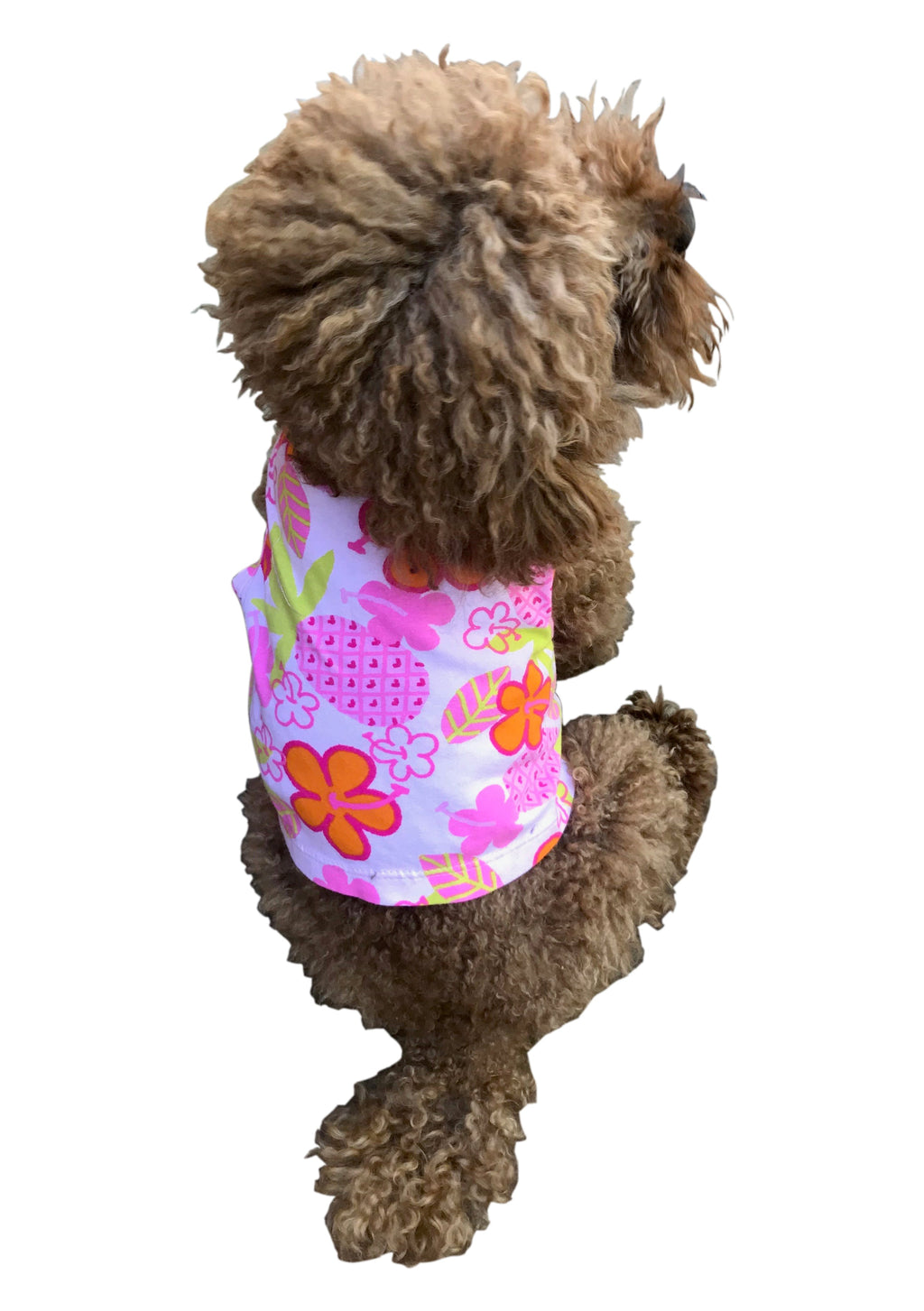 {{product_title}} - Cookies Wagging Friends Boutique
