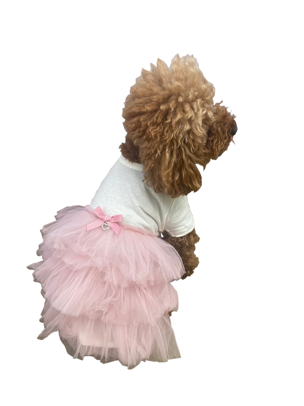 {{product_title}} - Cookies Wagging Friends Boutique