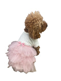 {{product_title}} - Cookies Wagging Friends Boutique