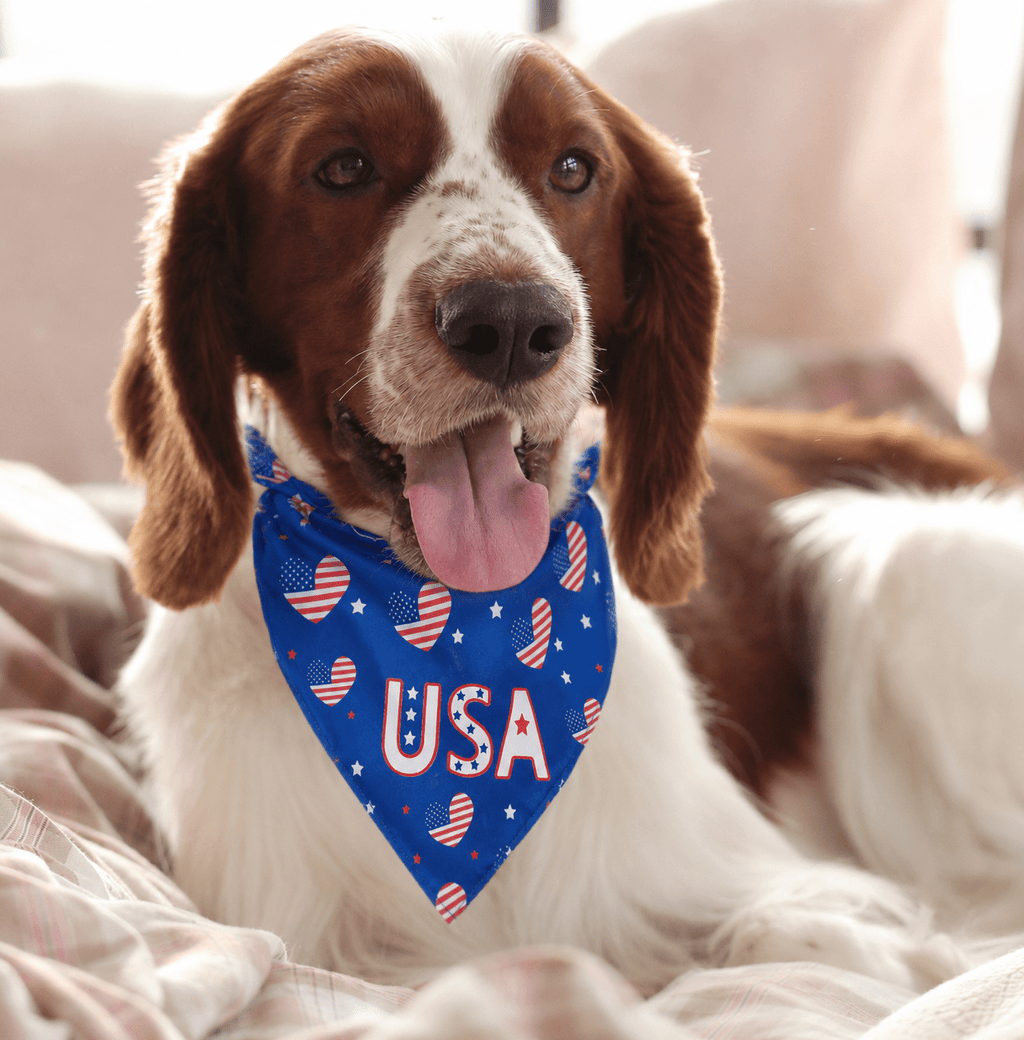 Blue pet bandana collar scarf with USA print and bow, worn on dog