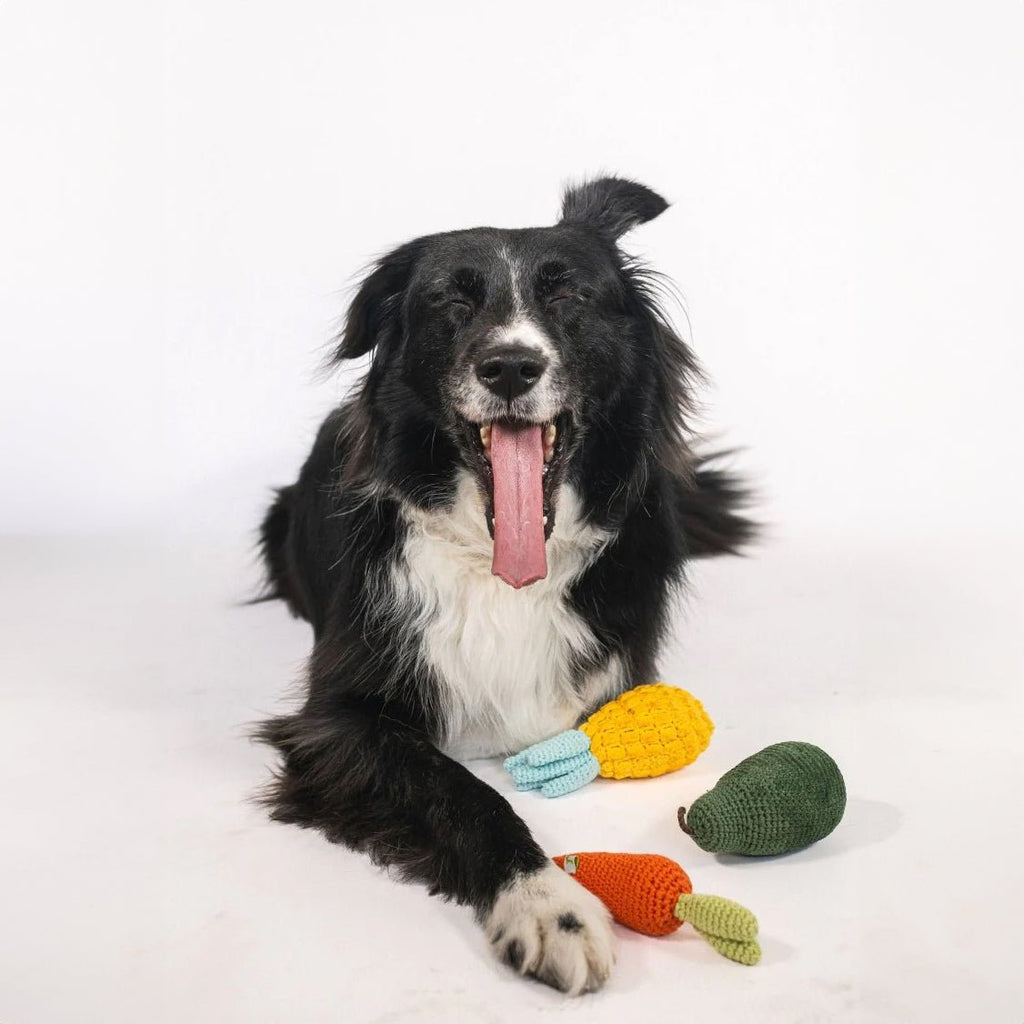 {{product_title}} - Cookies Wagging Friends Boutique
