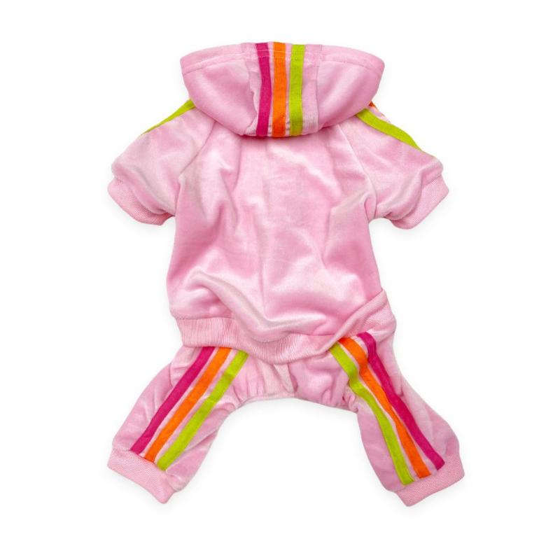 Pink velour dog jogger with rainbow-striped cuffs and hood, front pouch