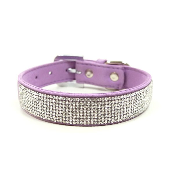 Purple rhinestone dog collar with adjustable buckle and silver stud accents