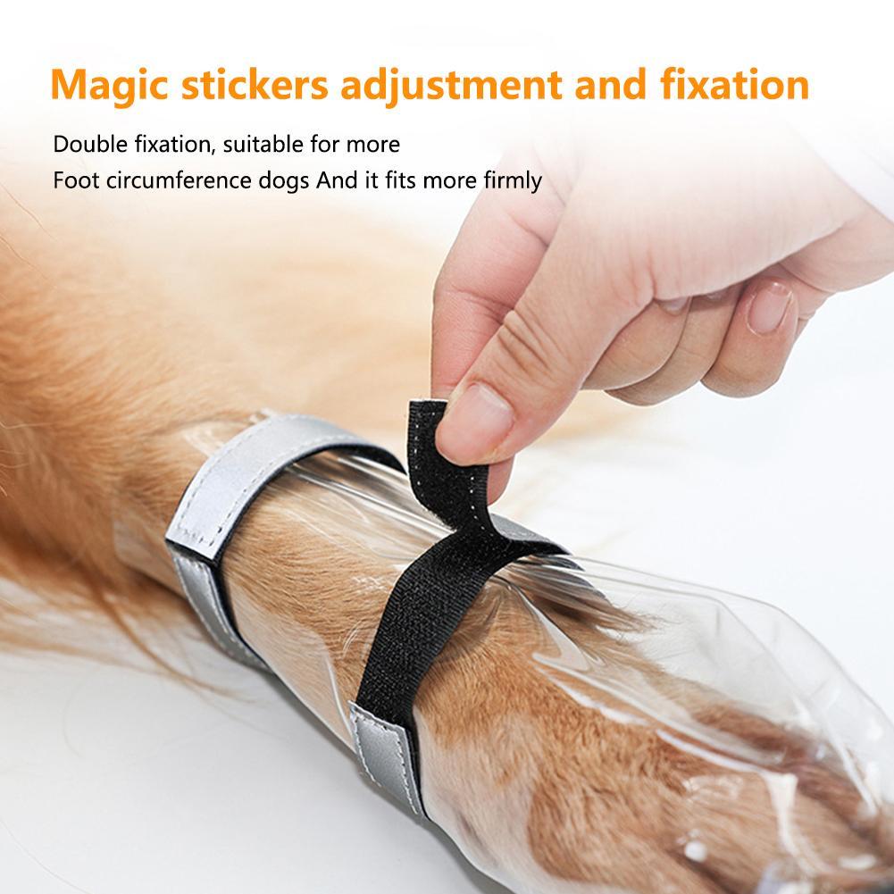 Close-up waterproof dog shoe: clear boot cover with black strap and hook-and-loop fit