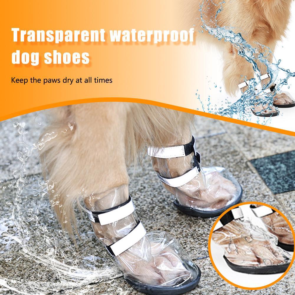 Waterproof dog shoes with clear covers and black straps protecting paws from splashes