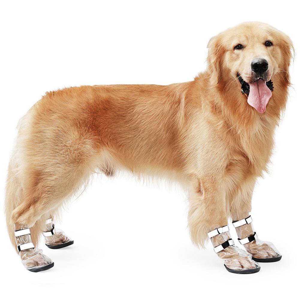 Waterproof dog shoes with clear covers and black straps on a large dog