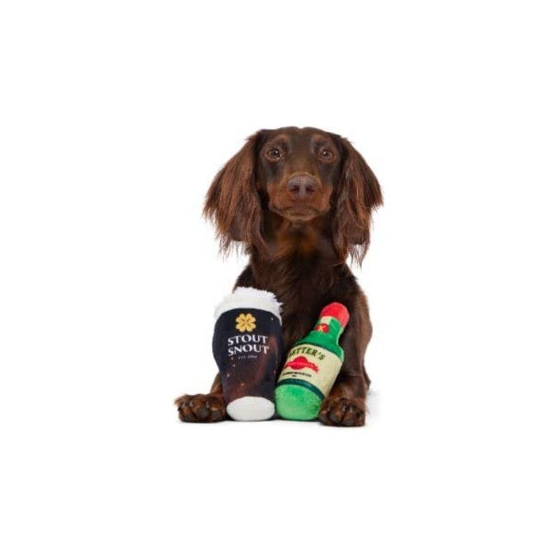Plush dog toy set on dog: dark beer can and green bottle with foam tops