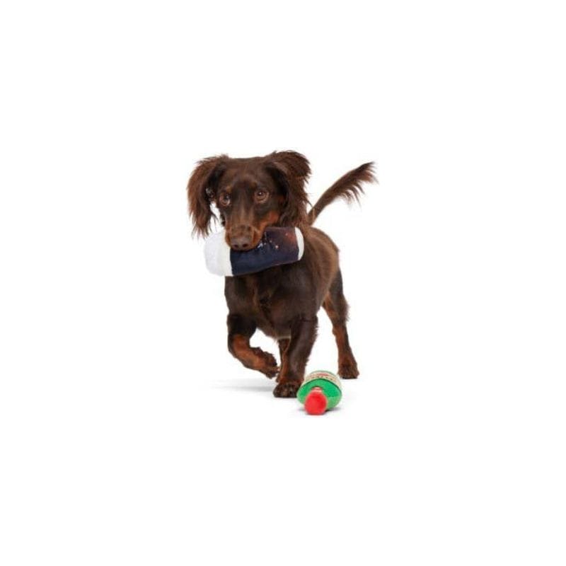 Plush dog toy on dog: navy beer can with foam top and small red/green ball