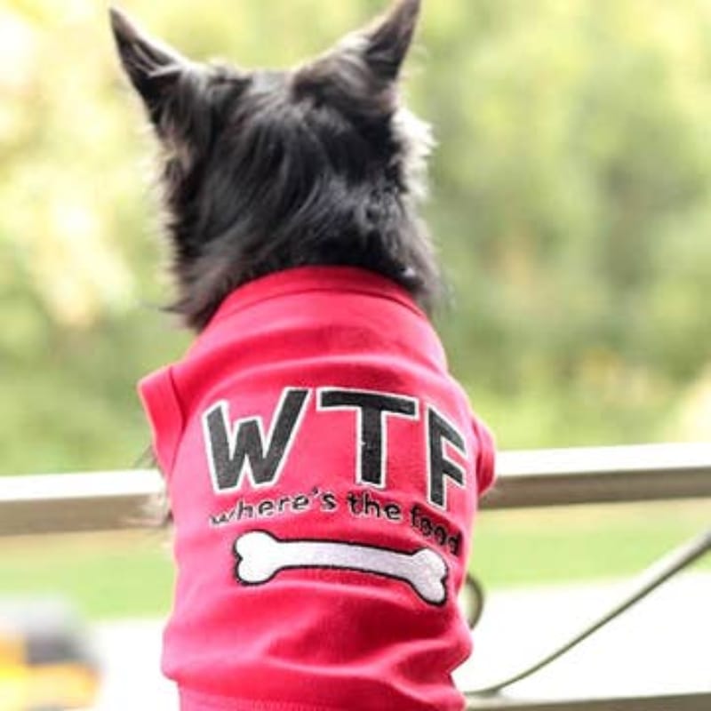 Red dog t-shirt on dog, 'WTF' and 'where's the food' print with white bone