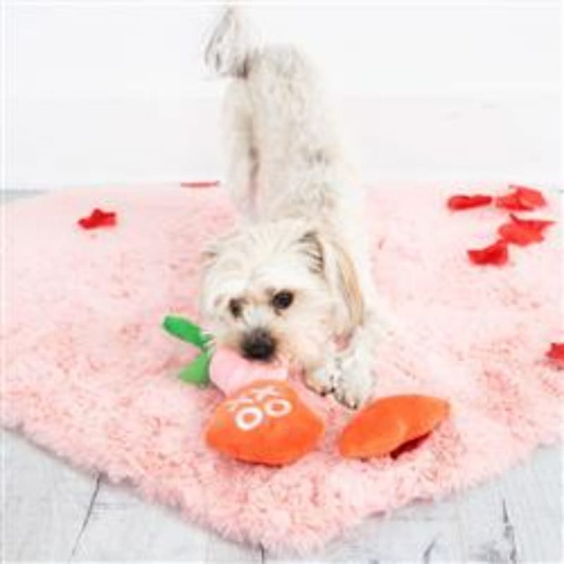 Plush squeaky dog toy, orange heart-shaped plush shown with small white dog