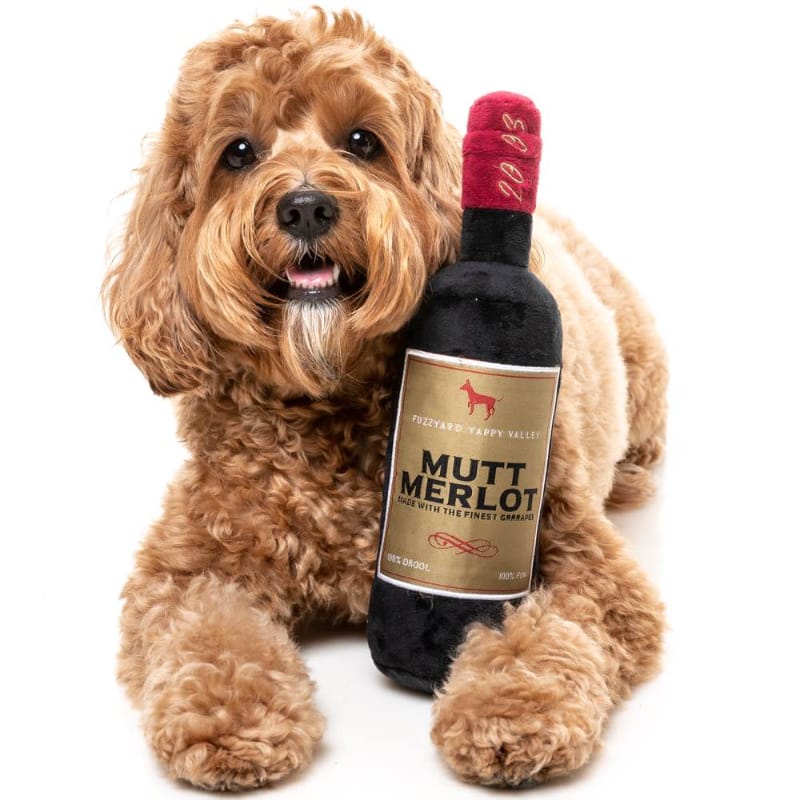 Plush dog toy bottle with MUTT MERLOT label, held by curly tan dog