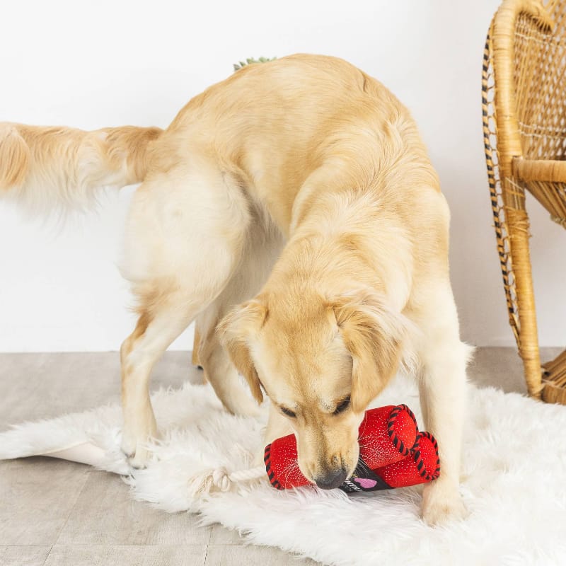 Red plush dynamite dog toy with black center label, crinkle sound and rope top