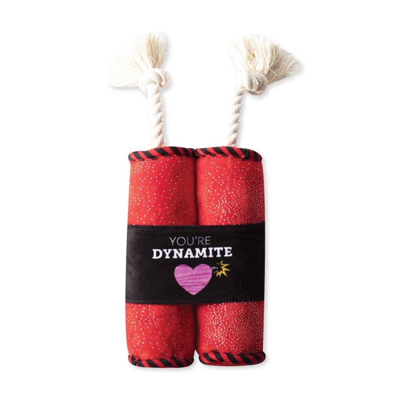 Red and black plush squeak dog toy, dynamite-shaped with twisted rope handles