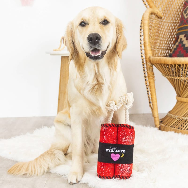Plush dynamite dog toy with red speckled fabric, black band and soft rope ends