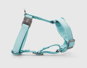 Aqua Blue Adventure Dog Harness