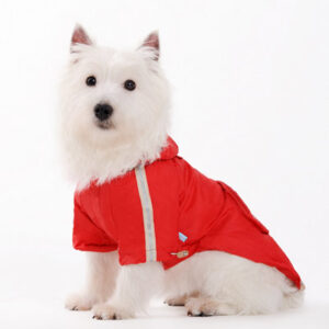 Pocket Raincoat V2