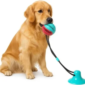Petgoof Interactive Dog Toys