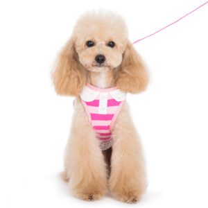 SnapGO Polo Girl